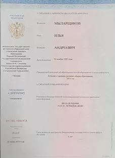 Приложение к диплому7